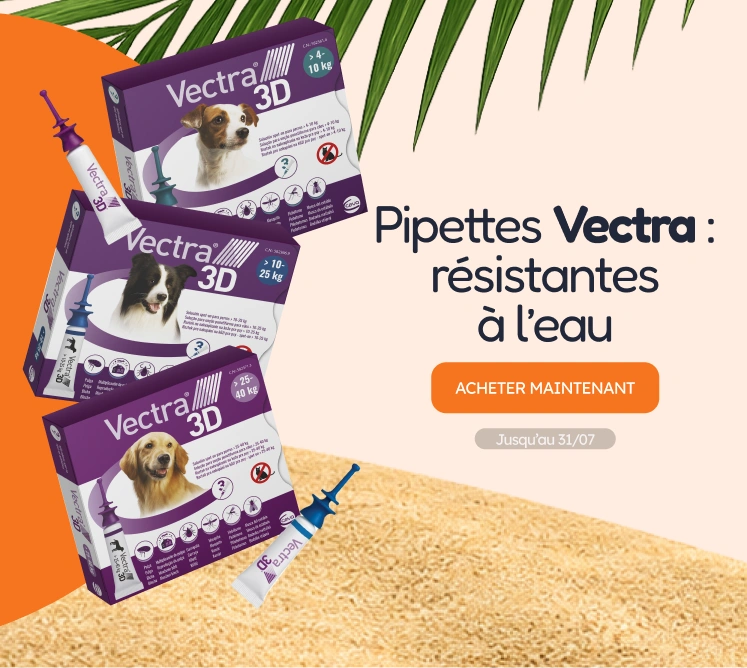/c/jul-vectra-visibilidad?utm_source=home&utm_medium=banner&utm_campaign=jul-vectra-visibilidad&utm_content=medium-banner2&utm_term=dog