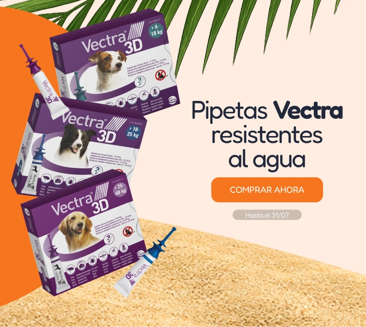 /c/jul-vectra-visibilidad?utm_source=home&utm_medium=banner&utm_campaign=jul-vectra-visibilidad&utm_content=medium-banner2&utm_term=dog