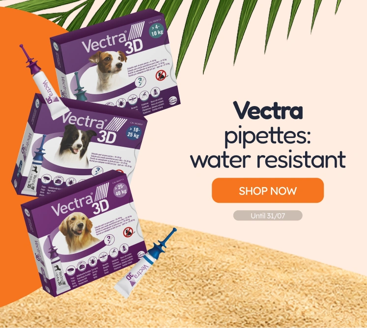 /c/jul-vectra-visibilidad?utm_source=home&utm_medium=banner&utm_campaign=jul-vectra-visibilidad&utm_content=medium-banner2&utm_term=dog