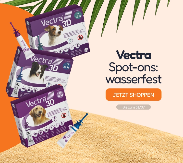 /c/jul-vectra-visibilidad?utm_source=home&utm_medium=banner&utm_campaign=jul-vectra-visibilidad&utm_content=medium-banner2&utm_term=dog