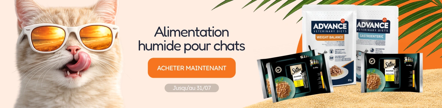 /c/jul-promos-de-húmedo-gato?utm_source=home&utm_medium=banner&utm_campaign=jul-promos-de-húmedo-gato&utm_content=low-banner3&utm_term=cat
