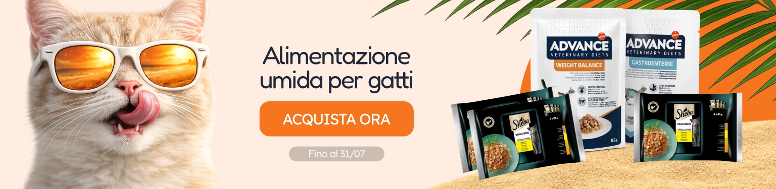 /c/jul-promos-de-húmedo-gato?utm_source=home&utm_medium=banner&utm_campaign=jul-promos-de-húmedo-gato&utm_content=low-banner3&utm_term=cat