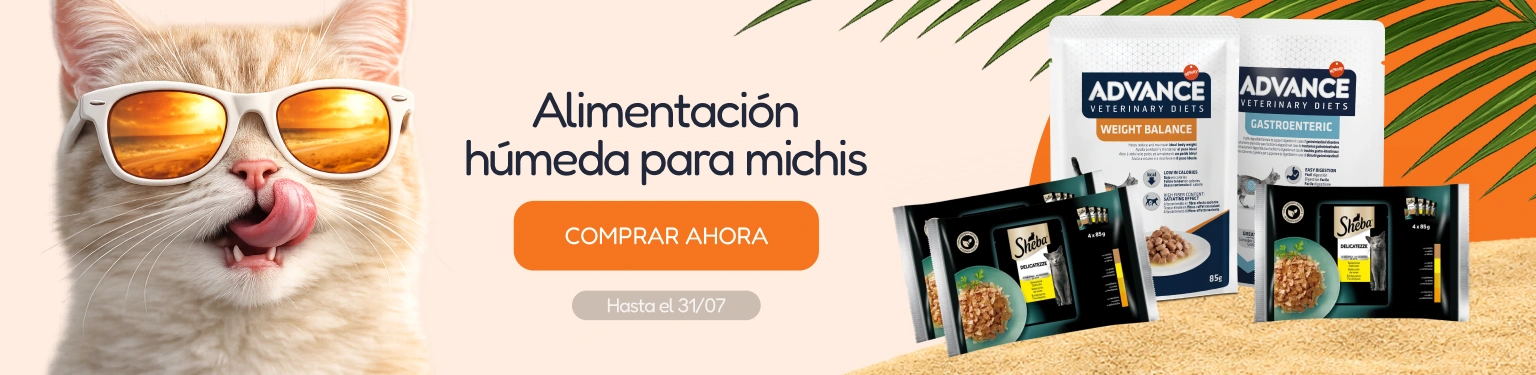 /c/jul-promos-de-húmedo-gato?utm_source=home&utm_medium=banner&utm_campaign=jul-promos-de-húmedo-gato&utm_content=low-banner3&utm_term=cat