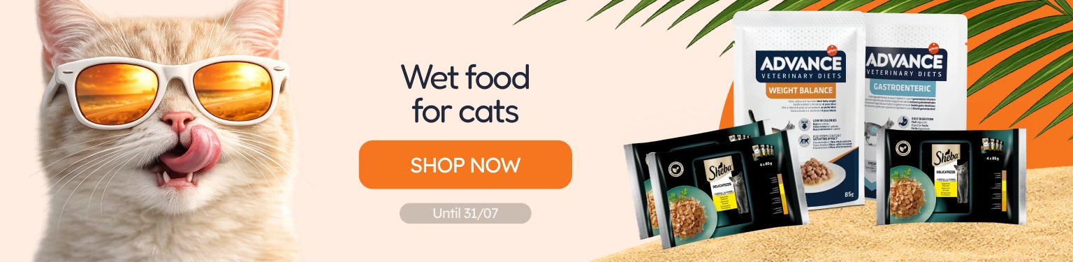 /c/jul-promos-de-húmedo-gato?utm_source=home&utm_medium=banner&utm_campaign=jul-promos-de-húmedo-gato&utm_content=low-banner3&utm_term=cat