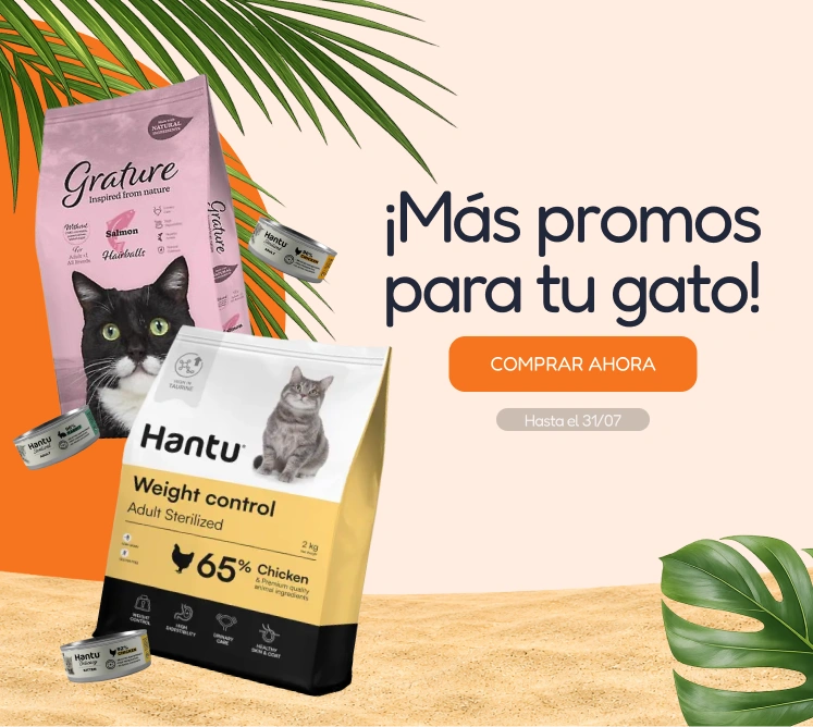 /c/jul-promos-pl-de-gato?utm_source=home&utm_medium=banner&utm_campaign=jul-promos-pl-de-gato&utm_content=medium-banner3&utm_term=cat