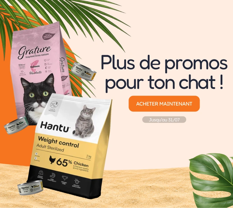 /c/jul-promos-pl-de-gato?utm_source=home&utm_medium=banner&utm_campaign=jul-promos-pl-de-gato&utm_content=medium-banner3&utm_term=cat