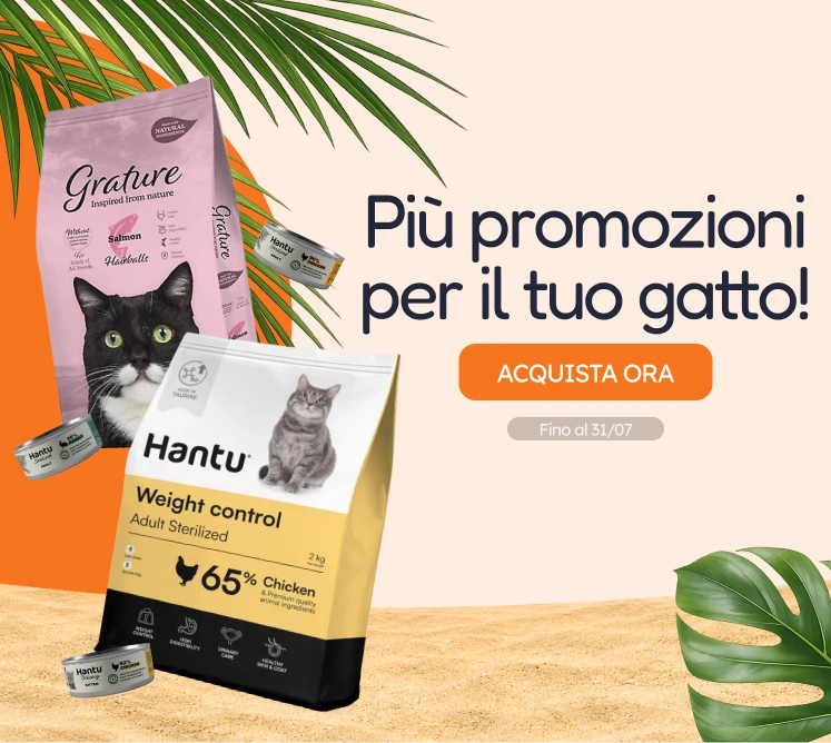 /c/jul-promos-pl-de-gato?utm_source=home&utm_medium=banner&utm_campaign=jul-promos-pl-de-gato&utm_content=medium-banner3&utm_term=cat