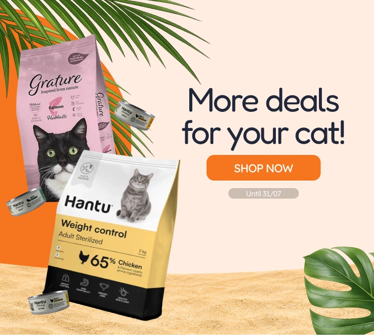 /c/jul-promos-pl-de-gato?utm_source=home&utm_medium=banner&utm_campaign=jul-promos-pl-de-gato&utm_content=medium-banner3&utm_term=cat