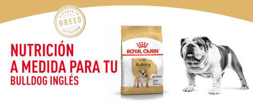 Royal Canin Bulldog Adult Petness Philippines