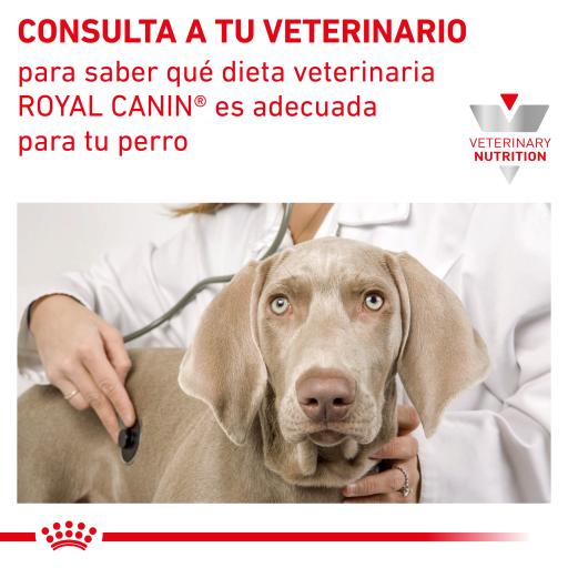 Royal Canin Calm Petness Philippines