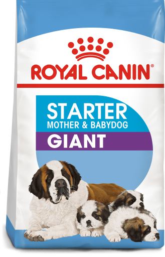 Royal canin 2024 giant starter