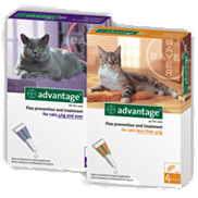 Advantage 4 Pipetas Antiparasit&aacute;rias para Gatos 0-4 Kg
