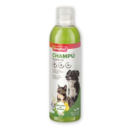 Natural Antiparasitic Shampoo for Dogs and Cats