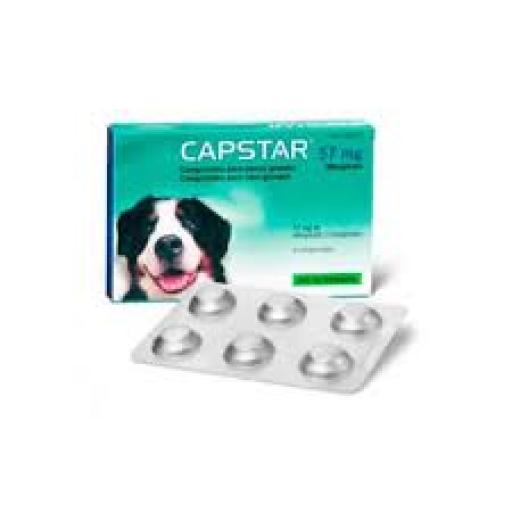 Capstar 57 mg Pour Grands Chiens Capstar 57 mg Pour Grands Chiens