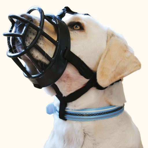 basket muzzle petco