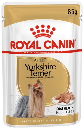 Yorkshire Terrier Adult 85gr.