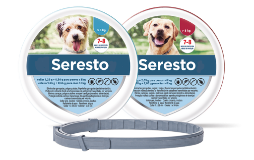 Govesta flea best sale collar for dogs