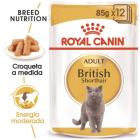 FBN Wet British Shorthair 85 gr