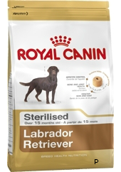Labrador Retriever Sterilised para Labradores Adultos Esterilizados