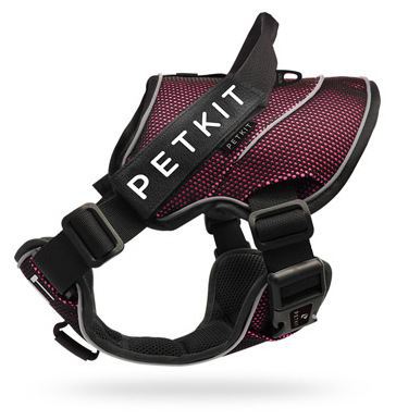 Harness L Harness L