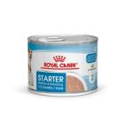 Starter Mousse 195 GR