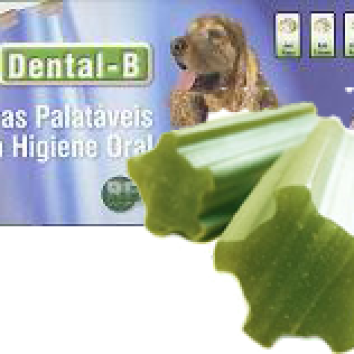 Dental B Dental B