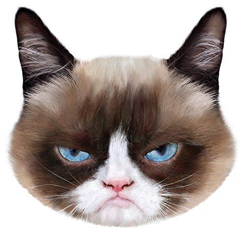 Pet Faces Grumpy Cat Pet Faces Grumpy Cat