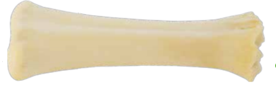 Osso de Calcio Largo 15-20 cm