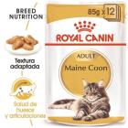 FBN Wet Mainecoon 85 gr