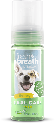 Fresh Breath Espuma de Menta 133 ml