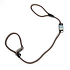 Company Of Animals Clix In Slip Lead Black Petness Portugal