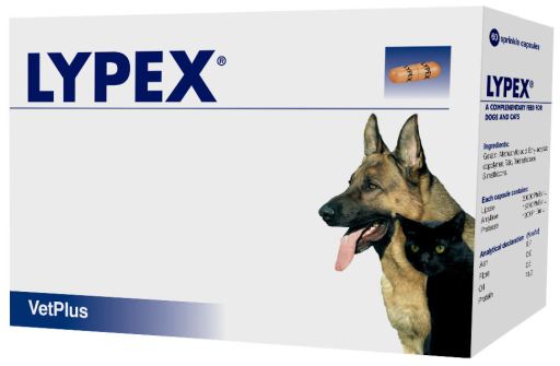 Lypex for Pancreatic Problems in Dogs and Cats