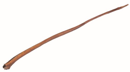 1 Nervio de Buey, Natural, 70-80 cm, Granel