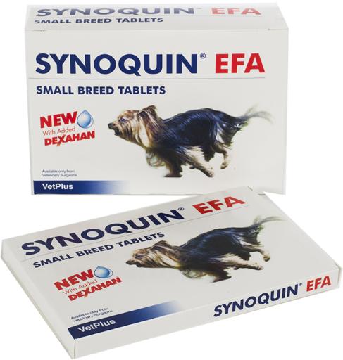 Synoquin deals dog supplement