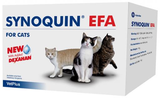 VetPlus Synoquin Joint Chondroprotector bei Katzen