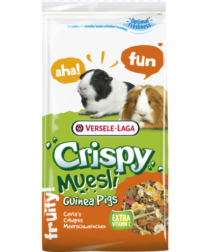 Crispy Muesli Guinea Pigs / cobaia