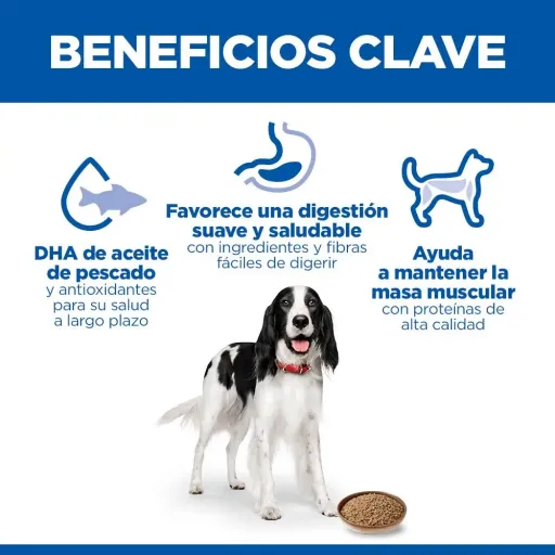 Hill's Science Plan Adult 1-6 Comida H&uacute;mida com Frango