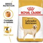 Labrador Retriever Adult Food for Breed Dogs 3 Kg