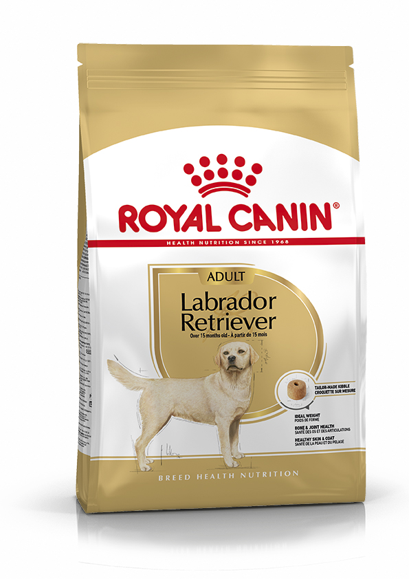Royal Canin Labrador Retriever Adult Food for Breed Dogs - Petness ...