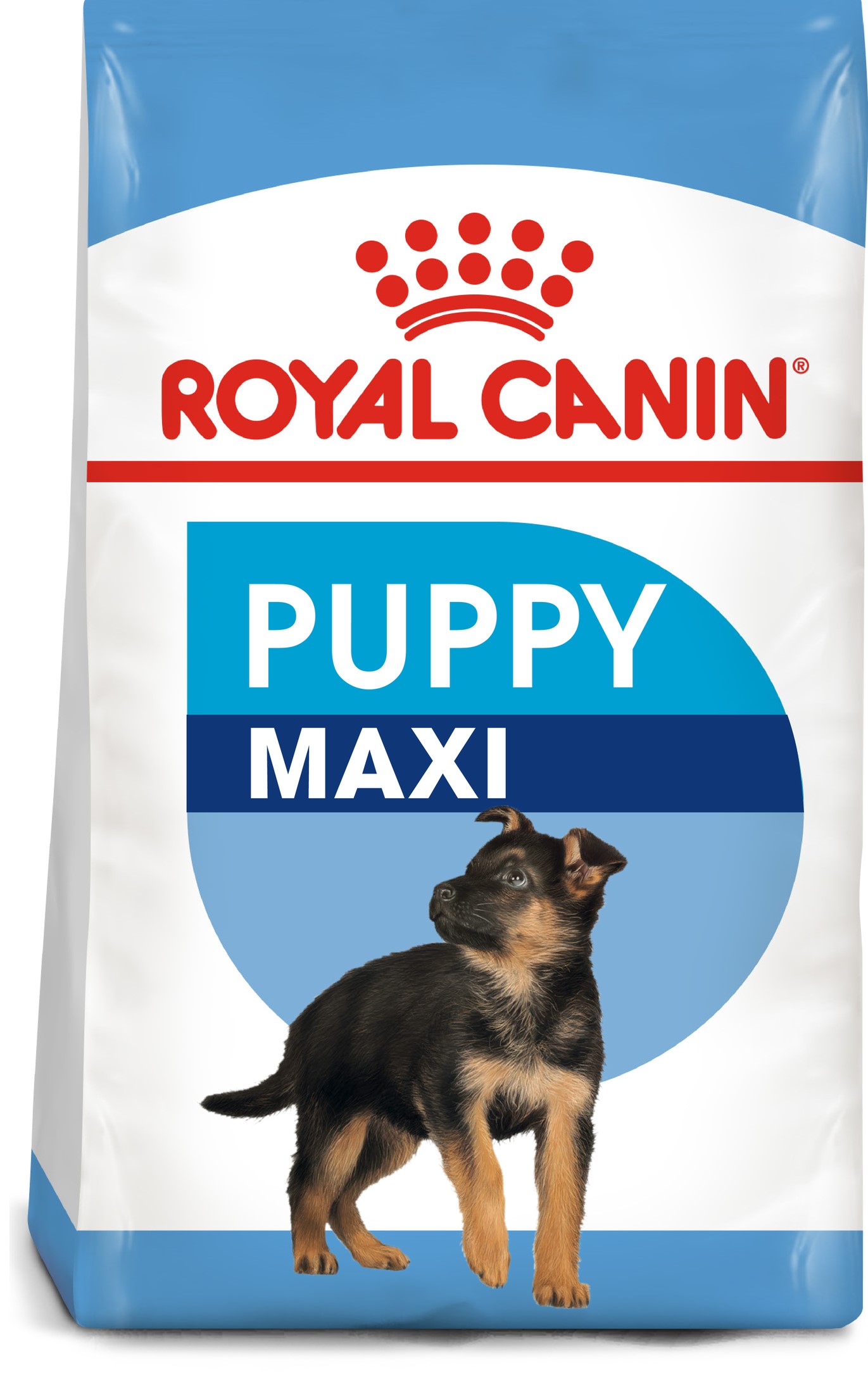 Royal Canin Maxi Puppy Ração para Cachorros de Raças Grandes - Petness ...
