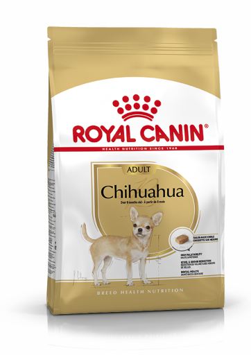 Chihuahua Adult para C&atilde;es Adultos da Ra&ccedil;a Chihuahua
