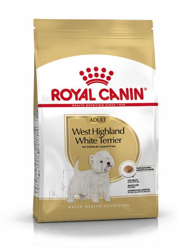 West Highland Terrier Adult Ra&ccedil;&atilde;o Seca C&atilde;o Adulto de Ra&ccedil;a
