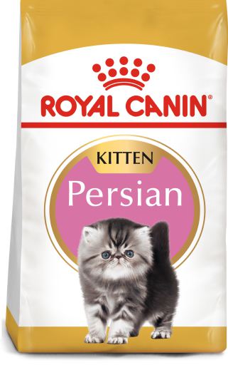 Vet Vervormen glas Persian Kitten 32