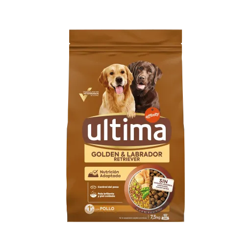 Ultima Golden and Labrador