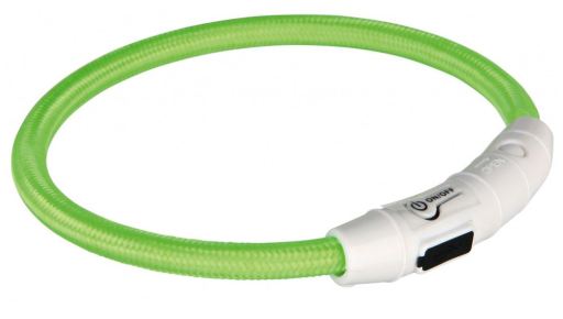 Coleira Luminosa Flash Light USB Verde