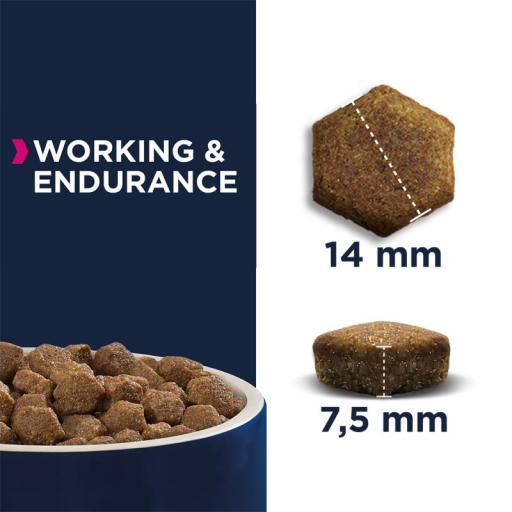 Eukanuba Daily Care Working And Endurance