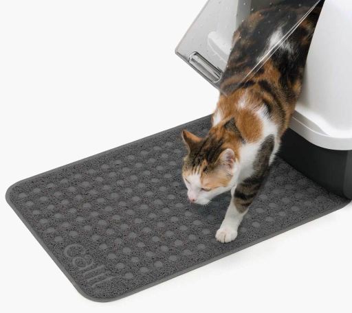 Cat Litter Carpet