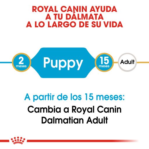 Royal canin best sale dalmatian dog food