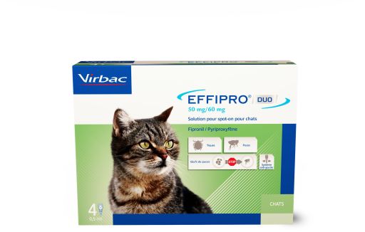 Effipro Duo Spot on Antiparasitaire pour Chats