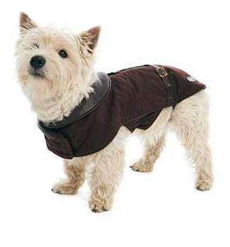 buster winter dog coat